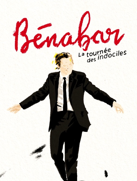 Bénabar : tournée des indociles