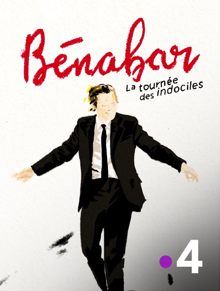 France 4 - Bénabar - tournée des indociles