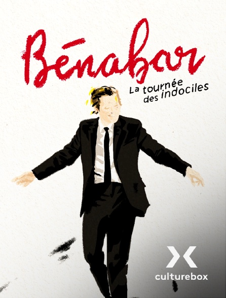 Culturebox - Bénabar : tournée des indociles