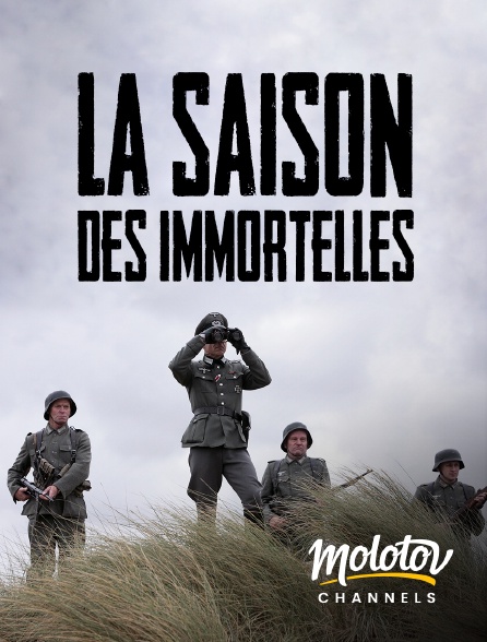 Molotov channels - LA SAISON DES IMMORTELLES