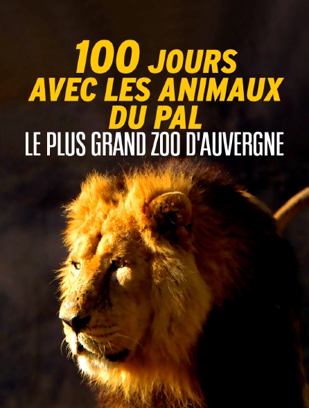 100 jours avec les animaux du Pal : le plus grand zoo d'Auvergne