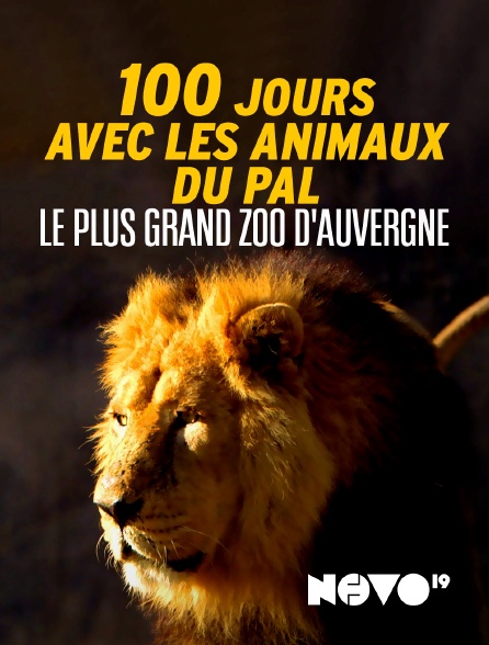 NOVO19 - 100 jours avec les animaux du Pal : le plus grand zoo d'Auvergne