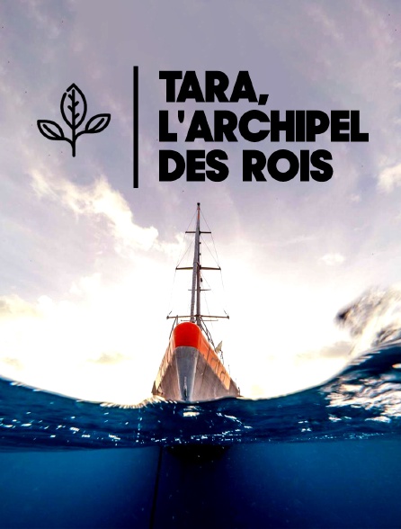 Tara, l'archipel des rois