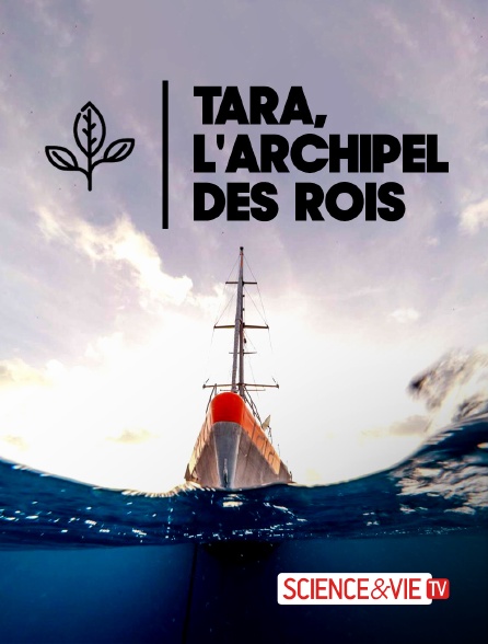 Science et Vie TV - Tara, l'archipel des rois