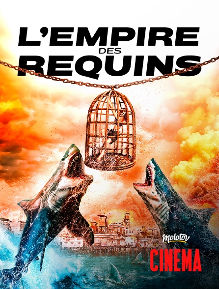 Molotov Channels Cinéma - L'empire des requins