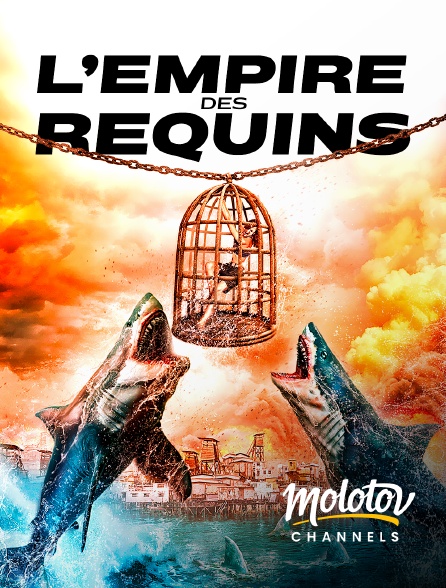 Mango - L'empire des requins