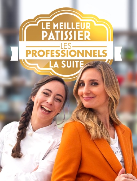 Le meilleur pâtissier : les professionnels - la suite