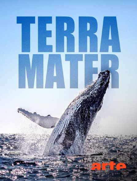 Arte - Terra Mater