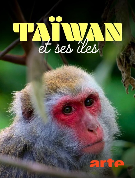 Arte - Taïwan et ses îles