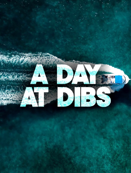 A Day at DIBS