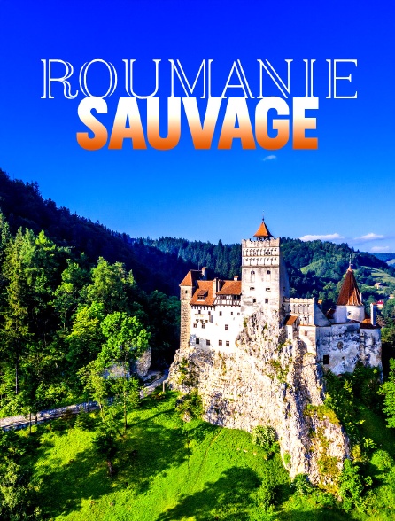 La Roumanie sauvage : De la Transylvanie au Danube