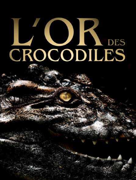 L'or des crocodiles