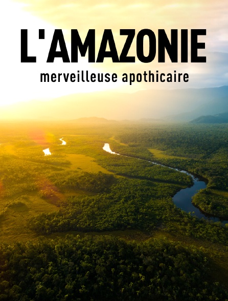 L'Amazonie, merveilleuse apothicaire