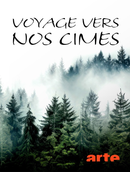 Arte - Voyage vers nos cimes