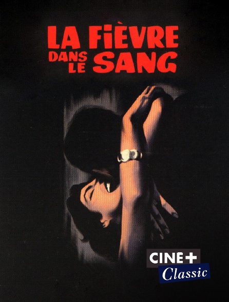 Ciné+ Classic - La fièvre dans le sang