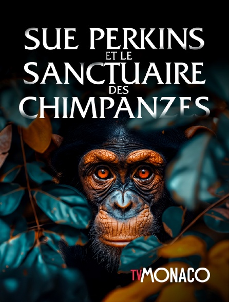 TV Monaco - Sue Perkins et Le sanctuaire des Chimpanzés