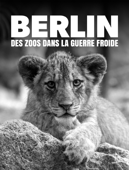 Berlin : des zoos dans la guerre froide