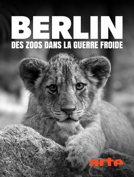 Arte - Berlin : des zoos dans la guerre froide