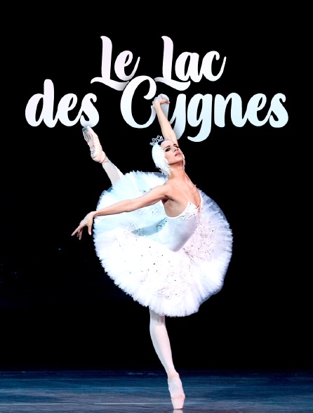 Le lac des cygnes