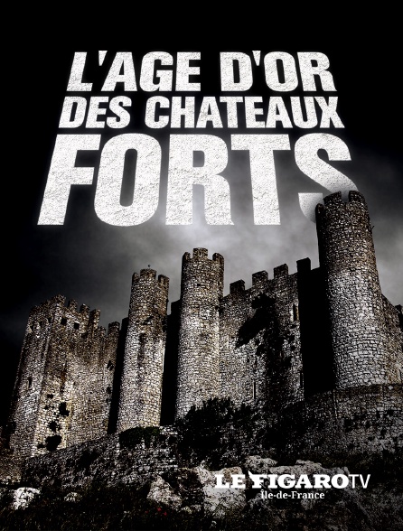 Le Figaro TV Île-de-France - L'âge d'or des châteaux forts