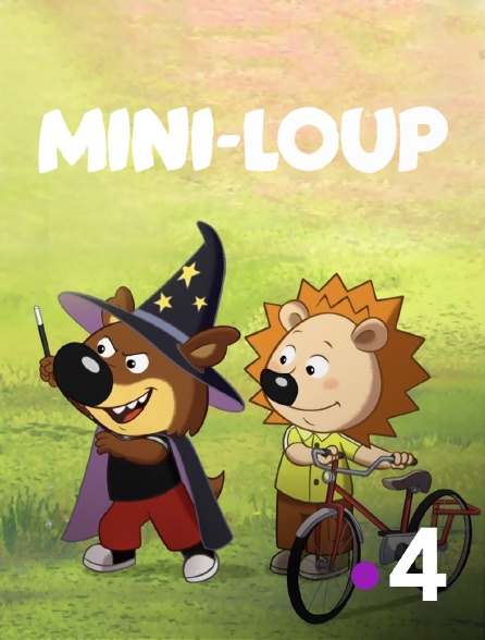 France 4 - Mini-Loup