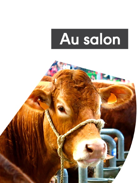 Au salon