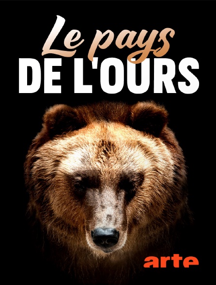 Arte - Le pays de l'ours