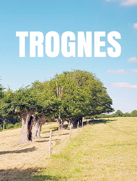 Trognes