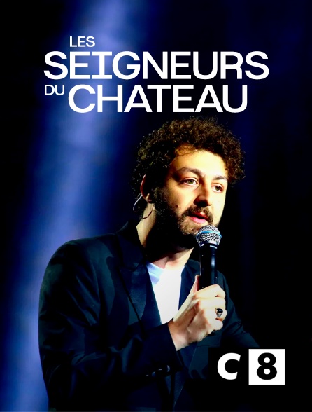 C8 - Les seigneurs du château