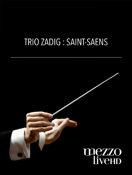 Mezzo Live HD - Trio Zadig: Saint-Saëns