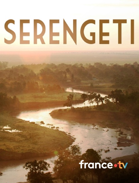 france.tv - Serengeti, la grande cavalcade des animaux en replay