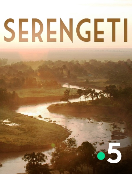 France 5 - Serengeti, la grande cavalcade des animaux