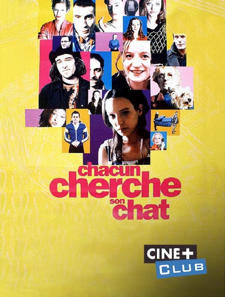 Ciné+ Club - Chacun cherche son chat