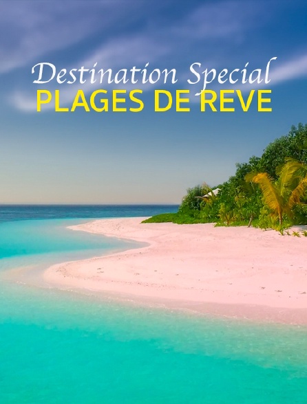 Destination Special : Plages De Reve