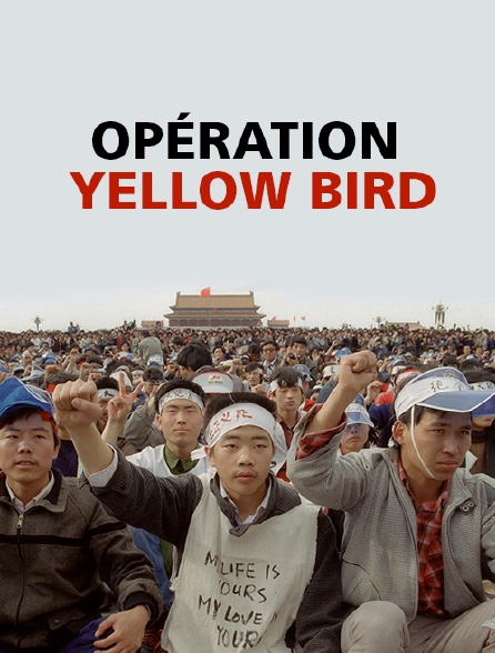 Opération Yellow Bird