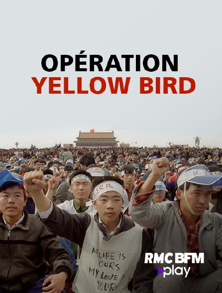 RMC BFM Play - Opération Yellow Bird