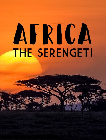 Dans la savane du Serengeti