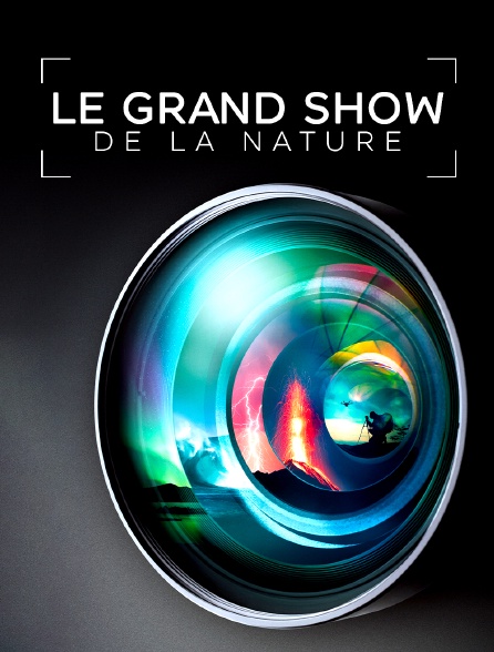 Le grand show de la nature