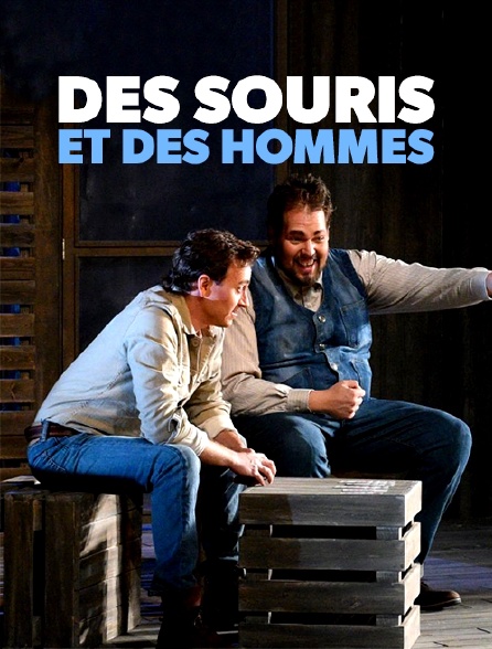 Des souris et des hommes