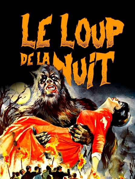 Le loup de la nuit