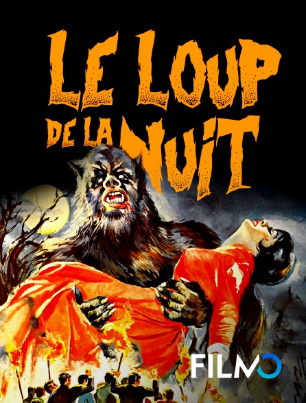 FilmoTV - Le loup de la nuit