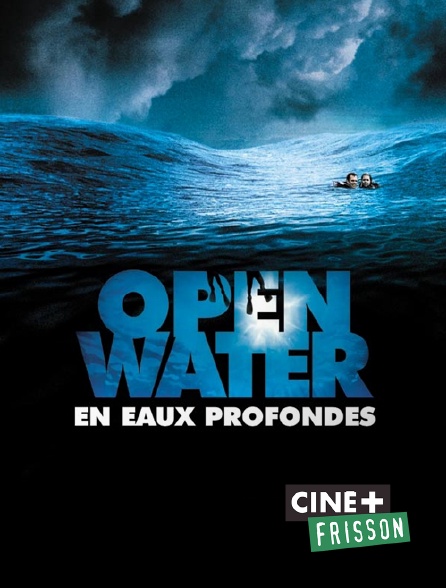 Ciné+ Frisson - Open Water, en eaux profondes