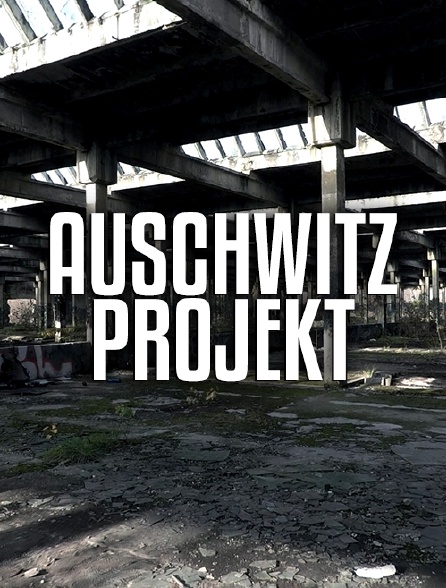 Auschwitz Projekt