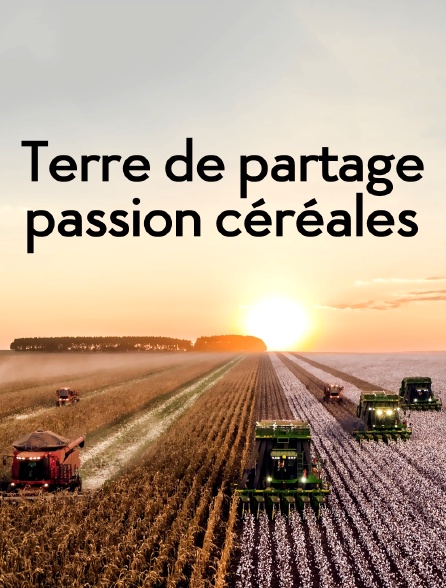 Terre de partage, passion céréales