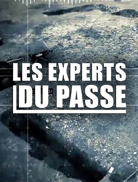 Les experts du passé