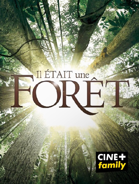 CINE+ Family - Il était une forêt