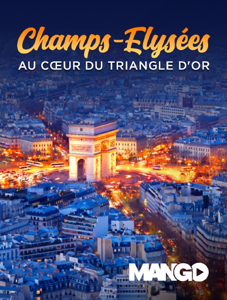 Mango - Champs Elysées, au cœur du triangle d'or