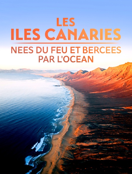 Les Iles Canaries, nées du feu et bercées par l'océan