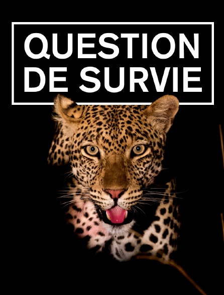 Question de survie *2016