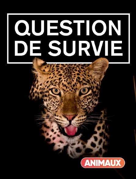 Animaux - Question de survie *2016